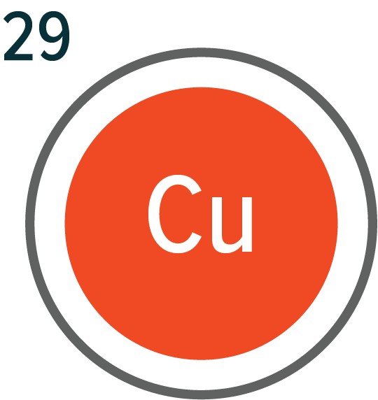 Chemical symbol for copper, with it's atomic weight of 29 on the top left