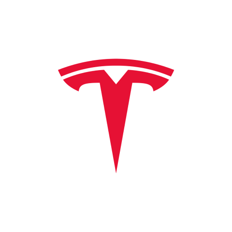 FNB Global X PowerStock Tesla